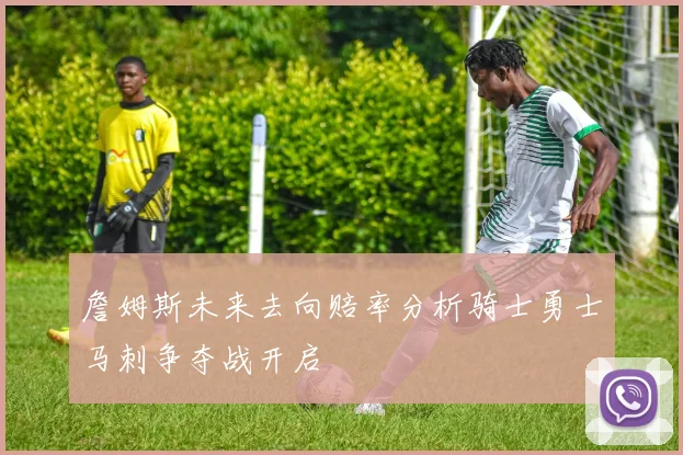 詹姆斯未来去向赔率分析骑士勇士马刺争夺战开启